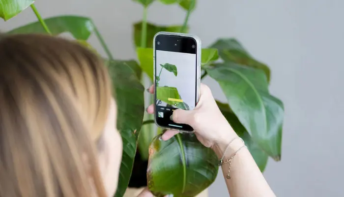 Foto wird mit Handy gemacht von einer Pflanze. Instagram Templates helfen beim Markenaufbau einer Personal Brand