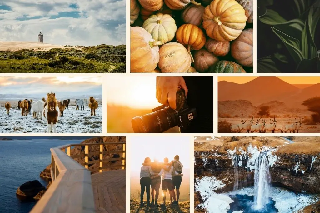 Moodboard für den Markenaufbau mit Naturbildern