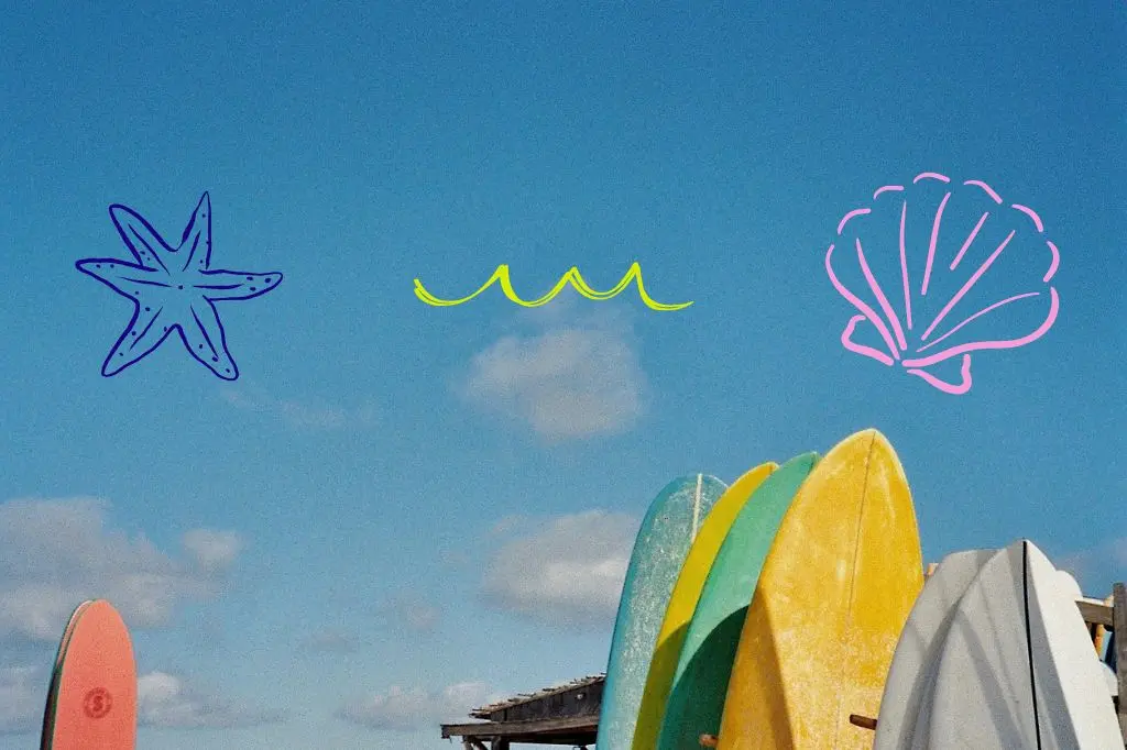 Markenelemente, die im Branding verwendet werden: Seestern, Wellen, Muschel